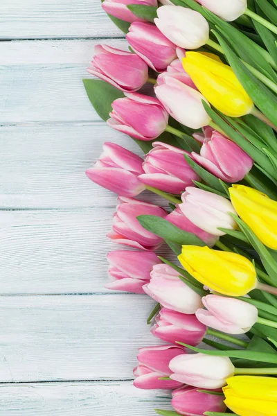 Sfondo pasquale con tulipani colorati — Foto Stock