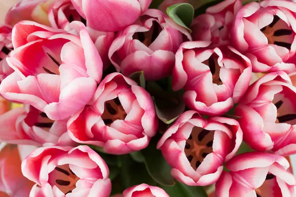 Цветной букет тюльпанов — стоковое фото