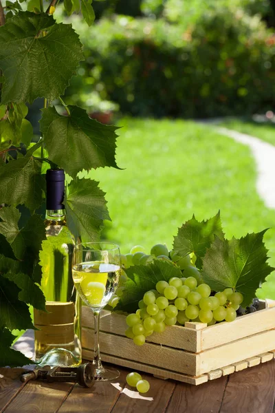 Garrafa de vinho branco, vidro e uvas — Fotografia de Stock