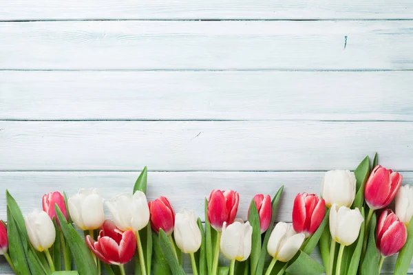 Kolorowe tulipany na niebieskim tle — Zdjęcie stockowe