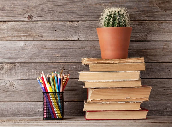 Cactus en libros y lápices —  Fotos de Stock