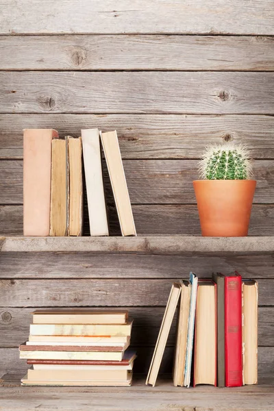 Staré knihy a kaktus rostlin — Stock fotografie