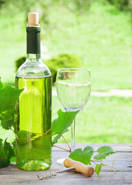 Verre et bouteille de vin blanc — Photo