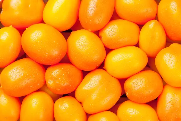 Trädgård orange tomater — Stockfoto