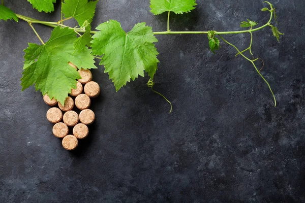 Wine corks and vine — Stock Photo, Image