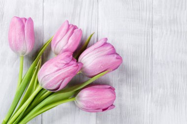 Pembe Lale çiçek