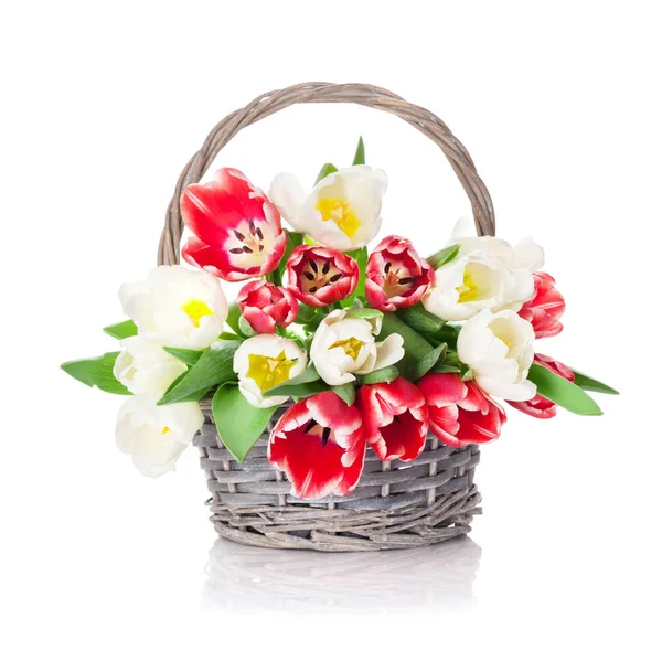 Colorful tulips bouquet in basket — Stock Photo, Image