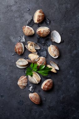 Tablo taze deniz tarağı