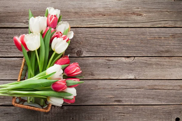 Tulipanes rojos y blancos — Foto de Stock