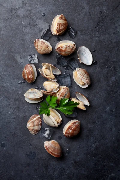 Fresh scallops on table — Stock Photo, Image