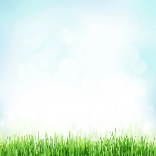 Sunny spring background — Stock Photo, Image