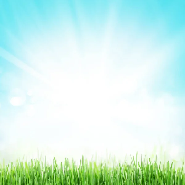 Sunny spring background — Stock Photo, Image