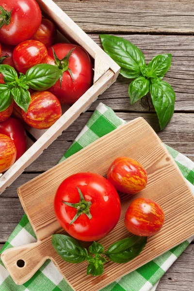 Tomates frescos de jardín maduros —  Fotos de Stock