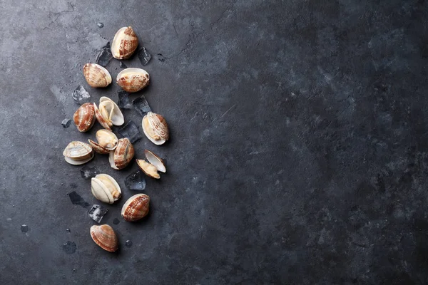 Pétoncles frais sur la table — Photo