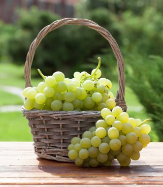 sepet içinde beyaz üzüm