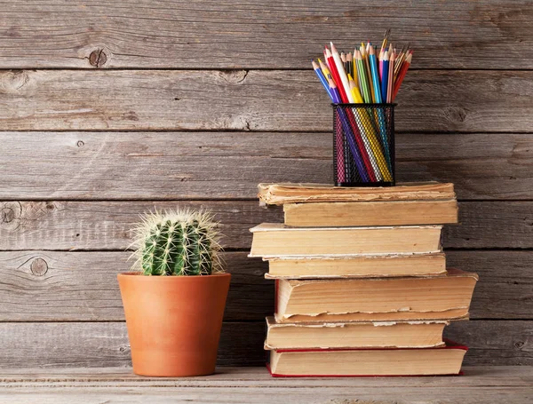 Cactus, old books and colorful pencils — Stock Photo, Image