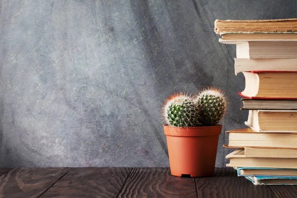 Chalk board, books and cactus — Stock Photo, Image