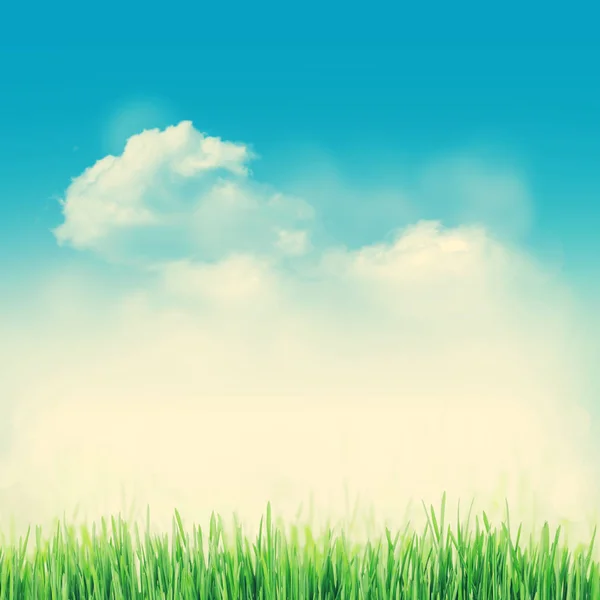 Spring background with grass — Stock Photo, Image