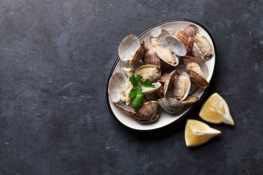 Kase taze deniz tarağı