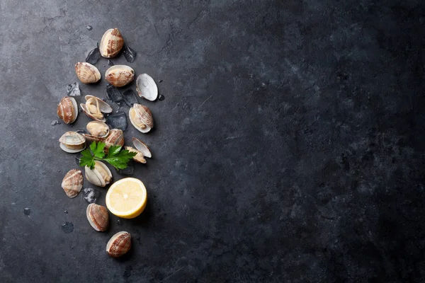 Verse coquilles en brood — Stockfoto