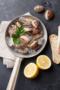 Taze deniz ürünleri. Tarak