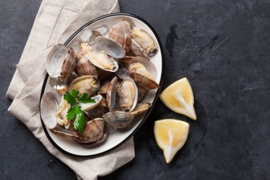 Kase taze deniz tarağı