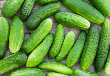 Olgun yeşil salatalık