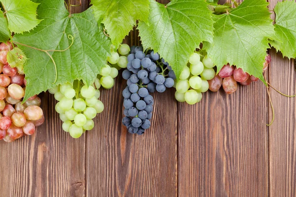 Bunch of colorful grapes — Stock Photo, Image