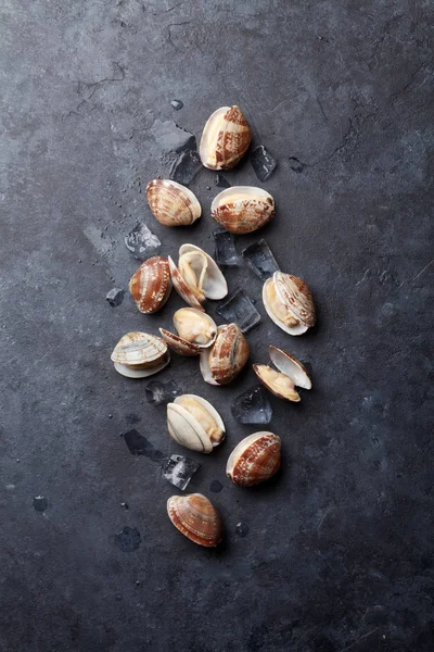 Vieiras frescas na mesa — Fotografia de Stock