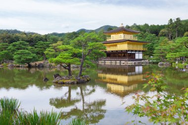 Kyoto altın Tapınak