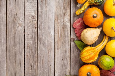 sonbahar kabaklar ahşap tablo