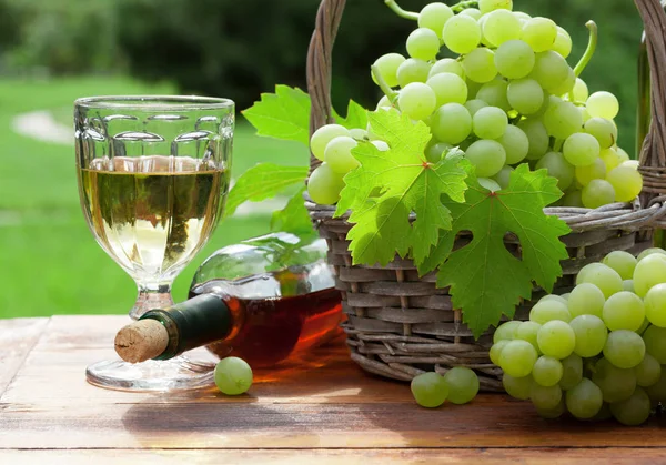 Witte druif, fles en glas wijn — Stockfoto