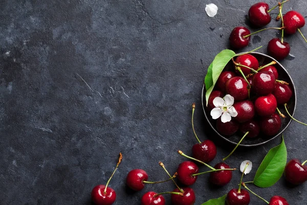 Cerises de jardin fraîches — Photo