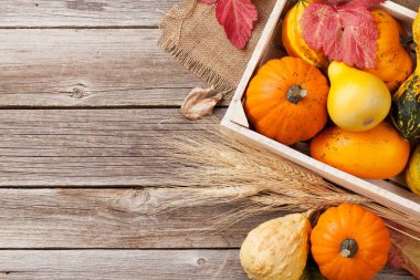 Masada sonbahar kabaklar