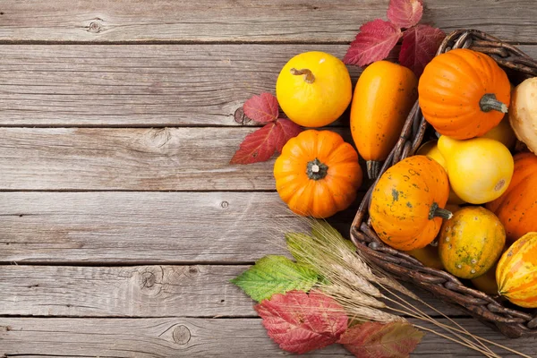 Calabazas de otoño en cesta — Foto de Stock