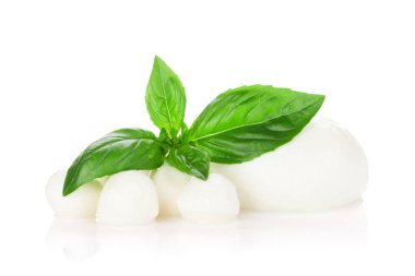 Mozzarella peyniri ve fesleğen