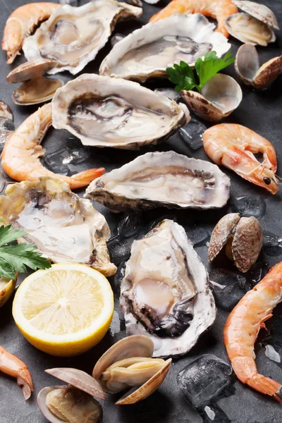 Oysters, prawns and scallops — Stock Photo, Image