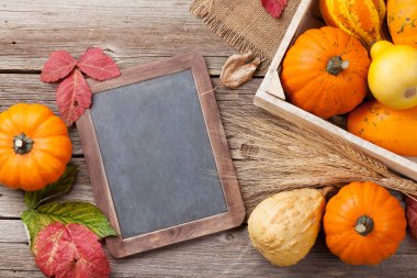 Kara tahta ile sonbahar kabaklar