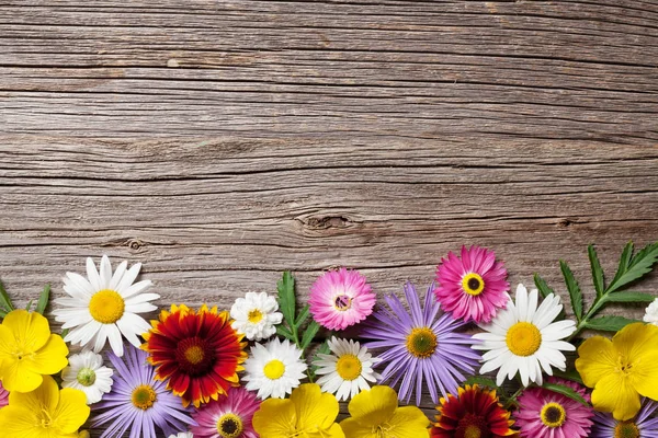 Quadro de flores de cor — Fotografia de Stock