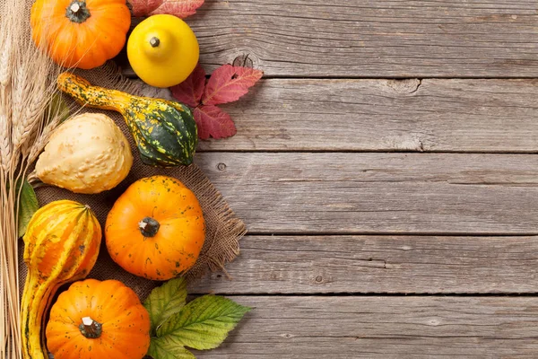 Calabazas de otoño en mesa de madera — Foto de Stock