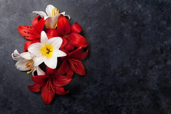 Flores de lírio coloridas — Fotografia de Stock