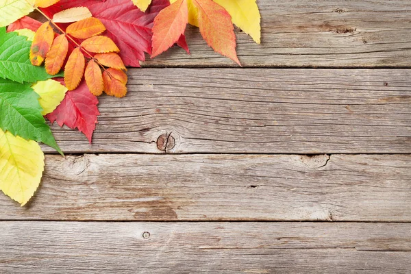 秋の木製の背景 — ストック写真