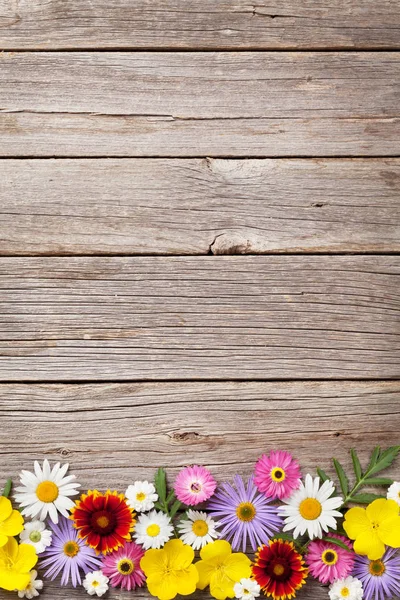 Barevné zahradní květiny — Stock fotografie