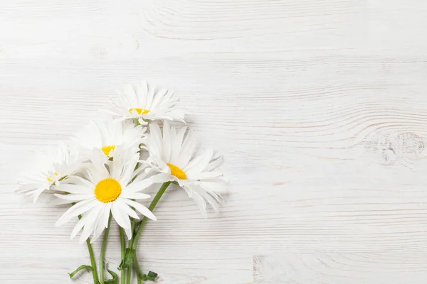 Garten-Kamillenblüten — Stockfoto