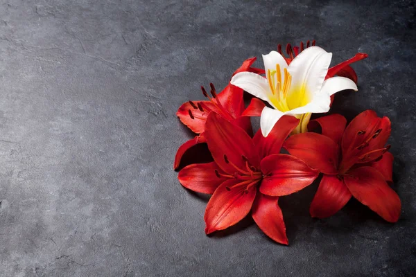 Barevné lily květy — Stock fotografie