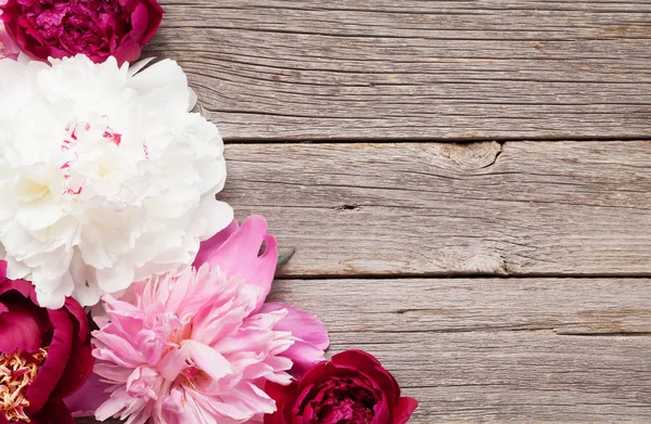 สวนดอกไม้ดอกโบตั๋น — ภาพถ่ายสต็อก
