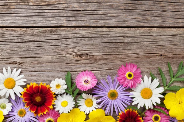 Trädgård blommor på trä bakgrund — Stockfoto