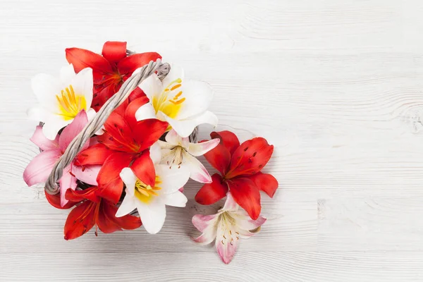 Színes liliom virágok — Stock Fotó