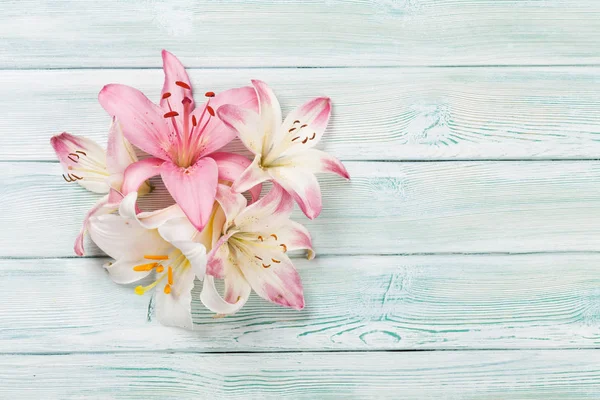 Lilia kolorowe kwiaty — Zdjęcie stockowe