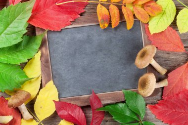 mantar, renkli yaprakları ve yazı tahtası